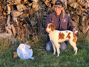 2021 American Brittany Club Central Futurity 4th Place Gun Dog